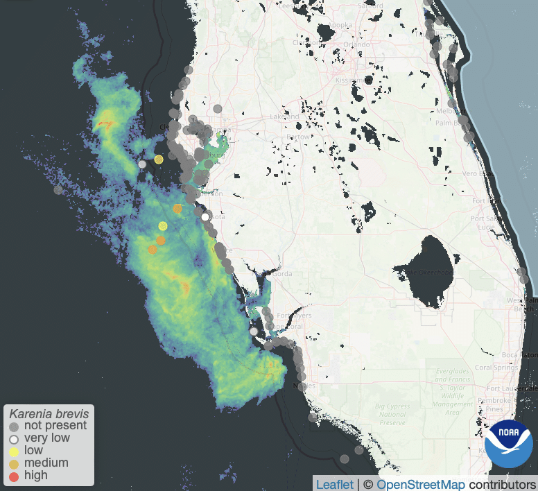 Screenshot 2024 10 28 At 9.27.10 AM